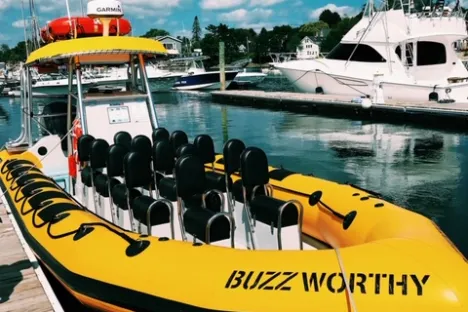 New England EcoAdventure's, 