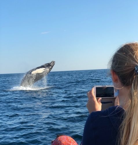 nicole-whale-best.JPG.JPEG Whale Watching in Kennebunkport - New England EcoAdventures