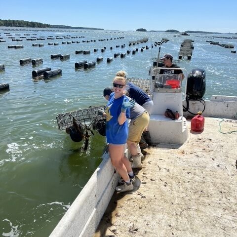 Mere Point Oyster Tour