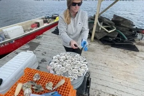 Mere Point Oyster Tour