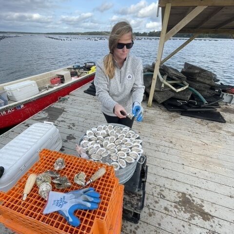 Mere Point Oyster Tour