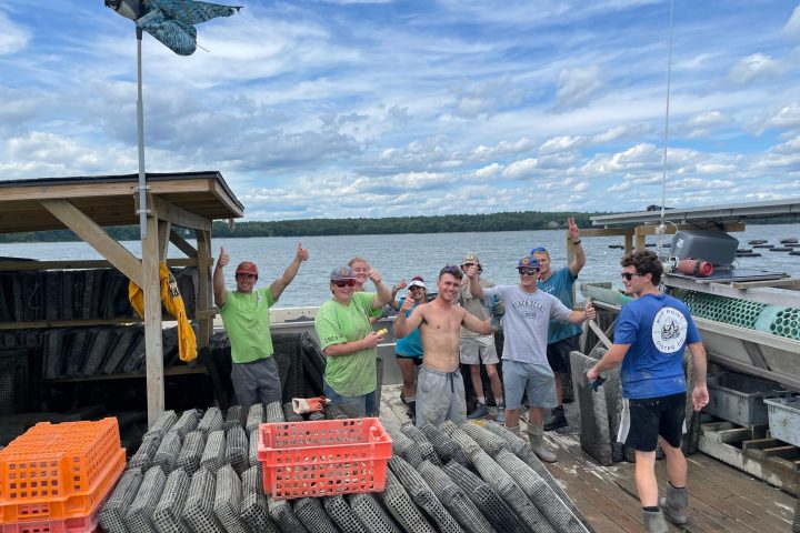 Mere Point Oyster Tour