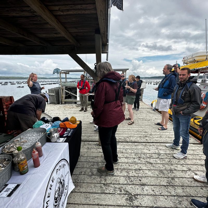 Mere Point Oyster Tour