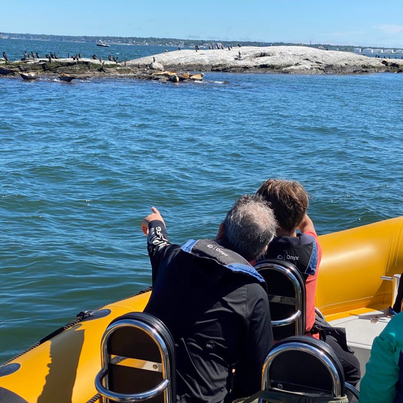 Lighthouse boat tour