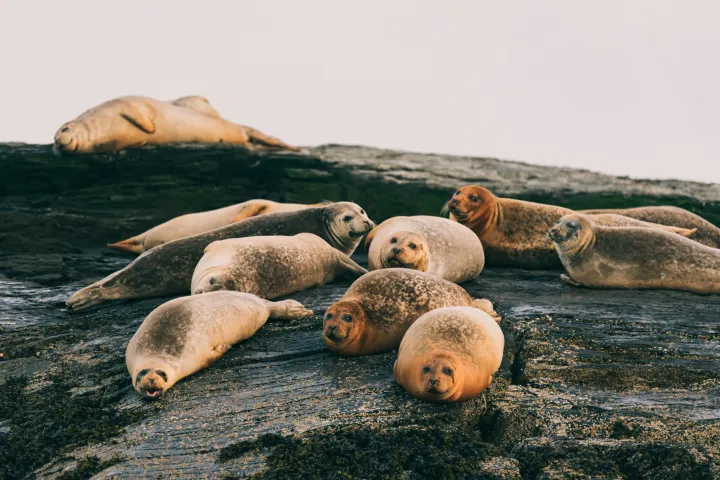 Lighthouse boat tour