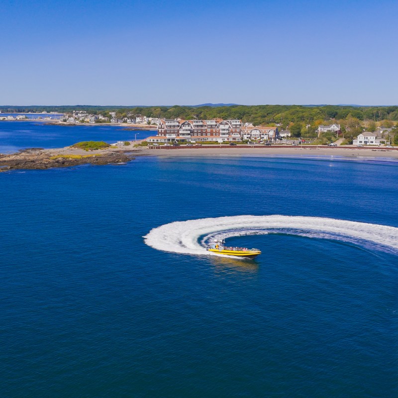 New England EcoAdventures in Kennebunk and Portland Maine